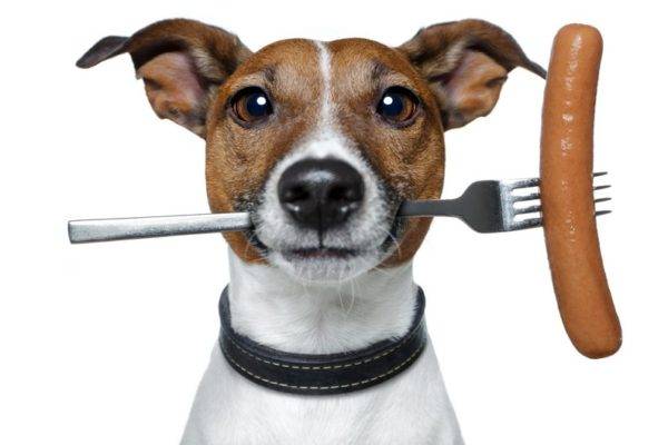 「犬用ソーセージ」