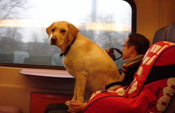 「鉄道による動物の輸送」