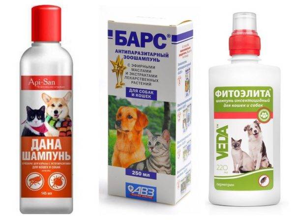 「犬用ノミシャンプー」