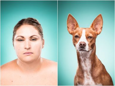 「飼い主に似た犬」