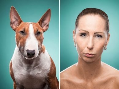 「飼い主に似た犬」
