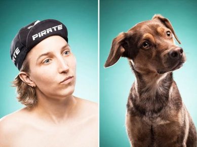 「飼い主に似た犬」