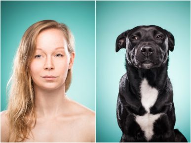 「飼い主に似た犬」